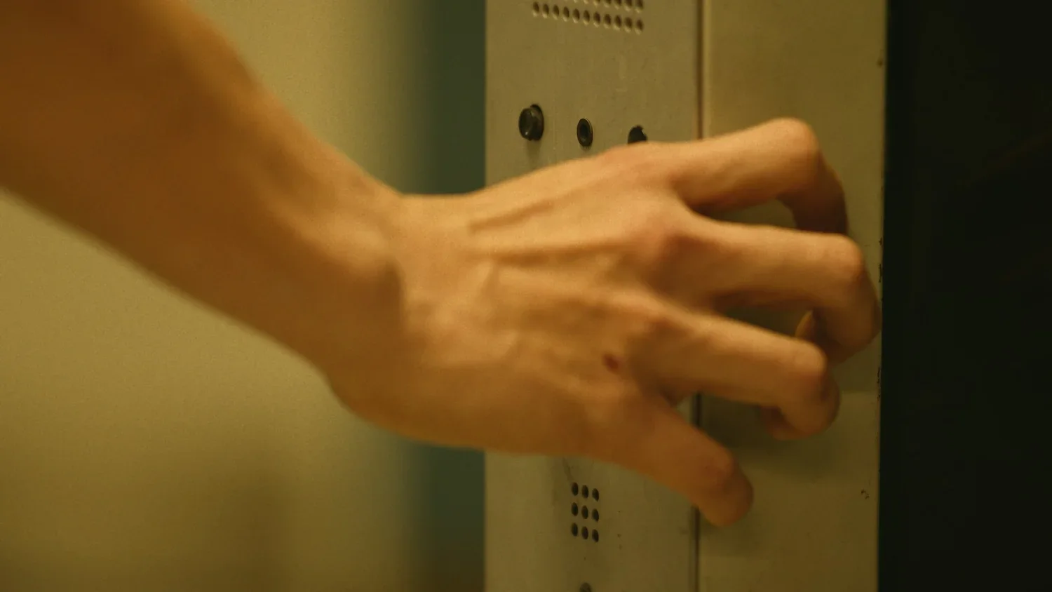Tenancy color grade, frame 17
